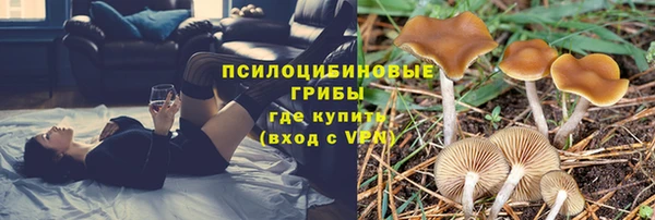MESCALINE Алзамай